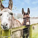 2 Bed In Maryport Oc-91132 Nyaraló Dearham