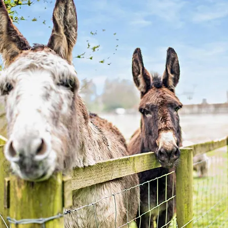 2 Bed In Dearham 91132 Casa de Férias Dearham