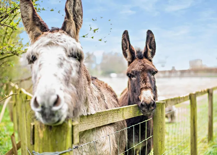 2 Bed In Maryport Oc-91132 Nyaraló Dearham